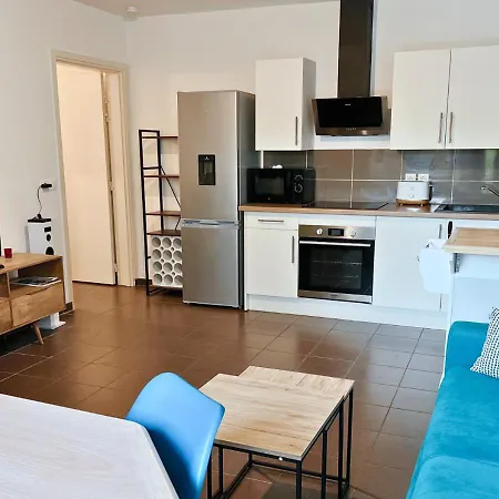 דירה Spacieux En Centre ביסקארוס
