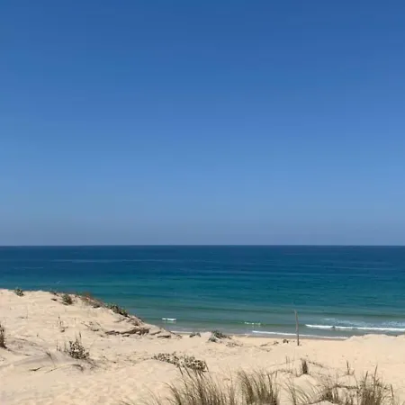 Spacieux En Centre דירה ביסקארוס